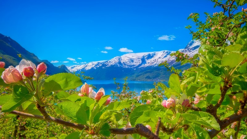 Video - Norgesferie